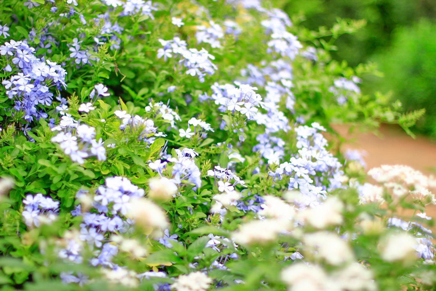 Pottery Flower B&B Jiji Exterior foto